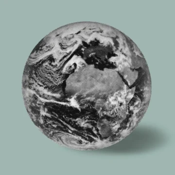 Does life on Earth have a purpose?